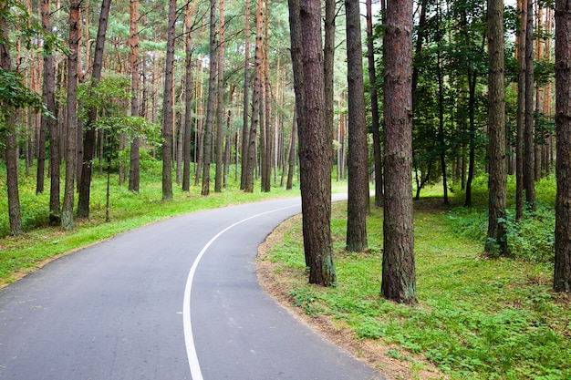 asphaltierte Straße im Sommer