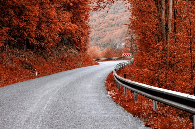 Asphaltstraße durch herbstfarbenholz