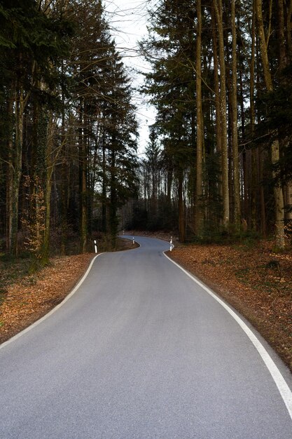 Asphaltstraße durch Wald in Bayern, Deutschland