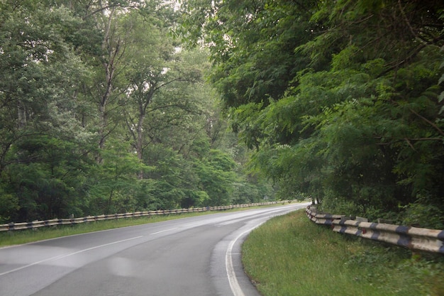 Asphaltstraße führt durch Wälder und Berge