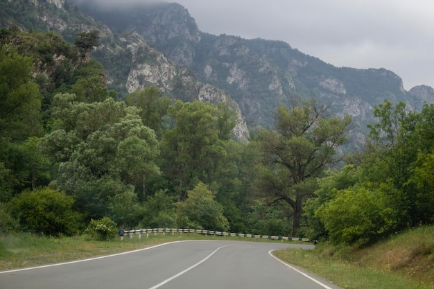 Asphaltstraße führt durch Wälder und Berge