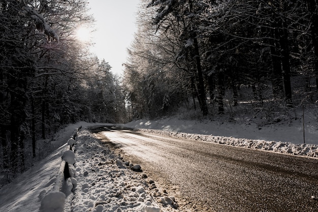 Asphaltstraße im Winterwald