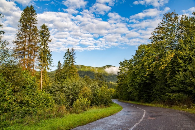 Asphaltstraße in der Nähe von Bergen und Wäldern, schönes Panorama