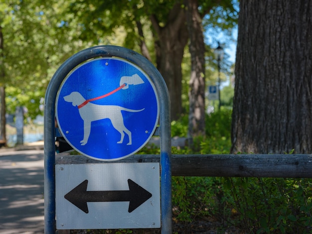 Assine no parque que significa passear com o cachorro apenas na coleira