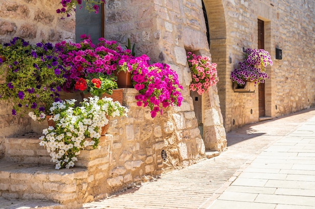 Assisi-Dorf in der Region Umbrien, Italien. Die Stadt ist berühmt für die wichtigste italienische Basilika, die dem Heiligen Franziskus gewidmet ist - San Francesco.