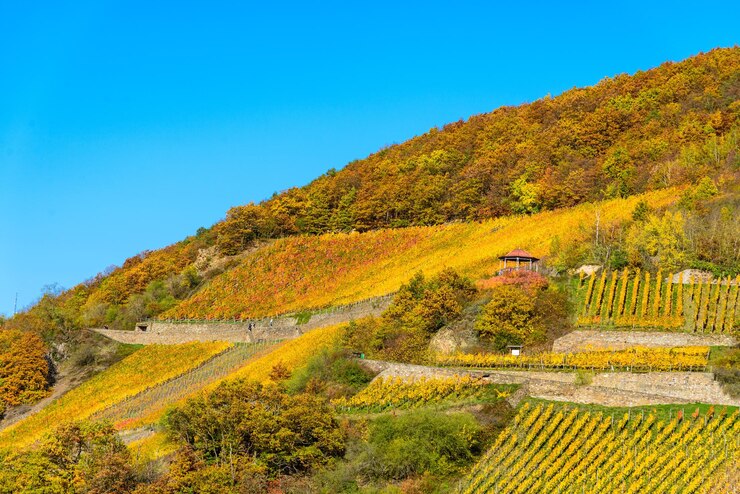 Foto assmannshausen hessen deutschland