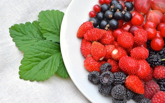 Assorted Garten Beeren auf einem Teller Frische Beeren auf weißem Hintergrund