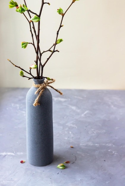 Ast mit Knospen in Vase auf dem Betontisch Minimale florale Komposition