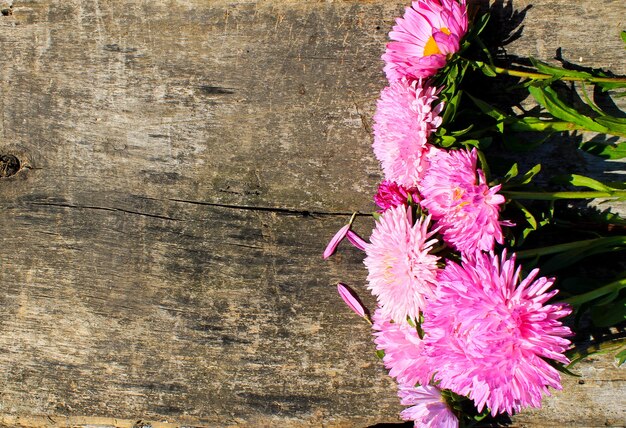 Asterblumen auf dem hölzernen Hintergrund