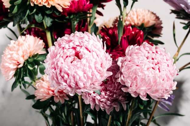 Foto asteres cor-de-rosa e vermelhos em fundo branco bouquet de flores de outono brilhantes