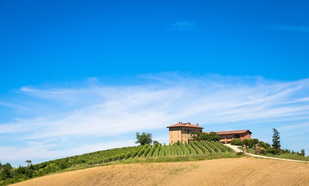 ASTI, ITALIA - CIRCA AGOSTO 2020: Colinas de Piamonte en Italia, área de Monferrato. Paisaje escénico durante la temporada de verano con campo de viñedos. Maravilloso cielo azul de fondo.