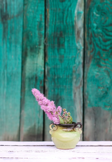 Astilbe planta flores rosas en jarrón de cerámica al aire libre.