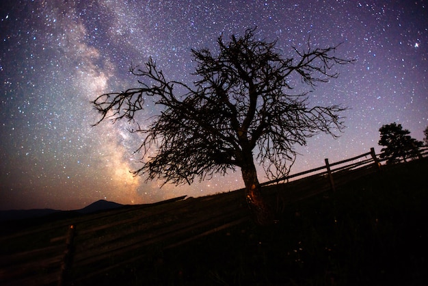 Astrofopo do céu profundo