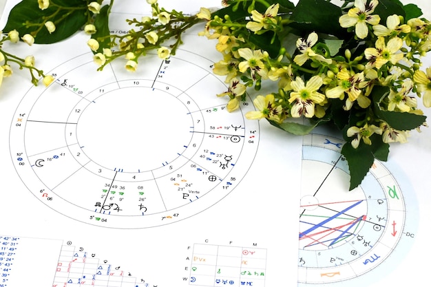 Astrologie-Geburtshoroskop Astrologie-Blaupause für Liebesaffären Esoterischer Lebensplan, wenn man heiratet