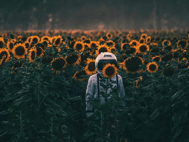 Astronauta de pé em meio a girassóis florescendo no campo