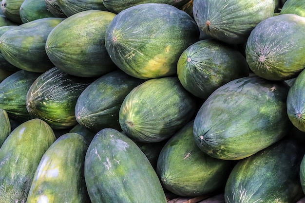 Atacado de melão de inverno no mercado asiático