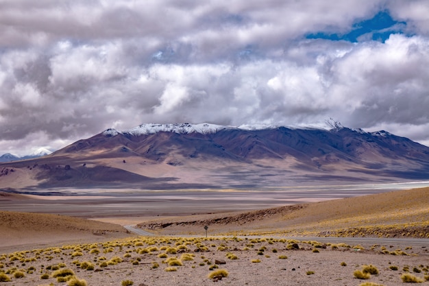 Atacama Wüstensavanne, Berge und Vulkanlandschaft, Chile, Südamerika