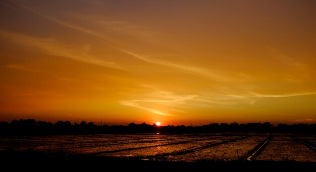 Atardecer al atardecer en el campo