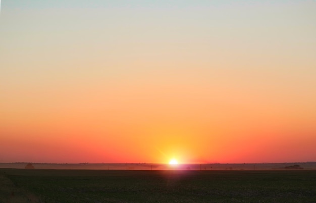 Atardecer en el campo de plantaciones de caña de azúcar