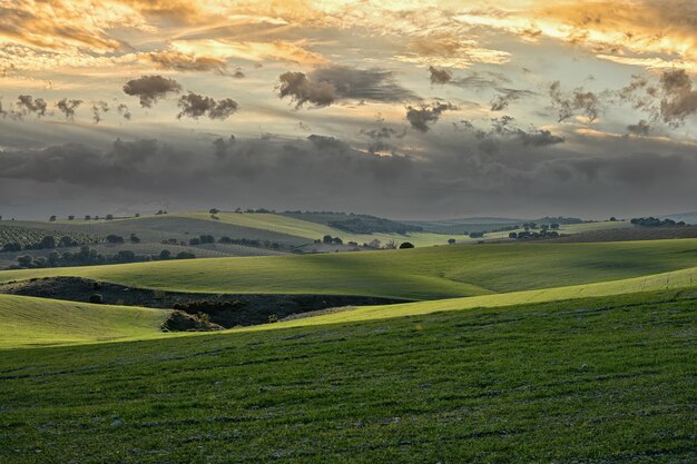 Foto atardecer en los campos de cereales