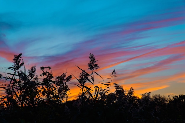 Atardecer de colores brillantes en el mar con hermosas nubes Atardecer de otoño cielo rosa