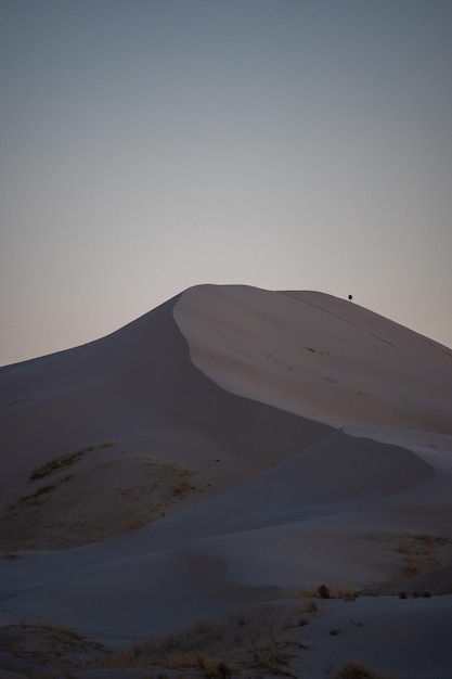 atardecer en las dunas del desierto