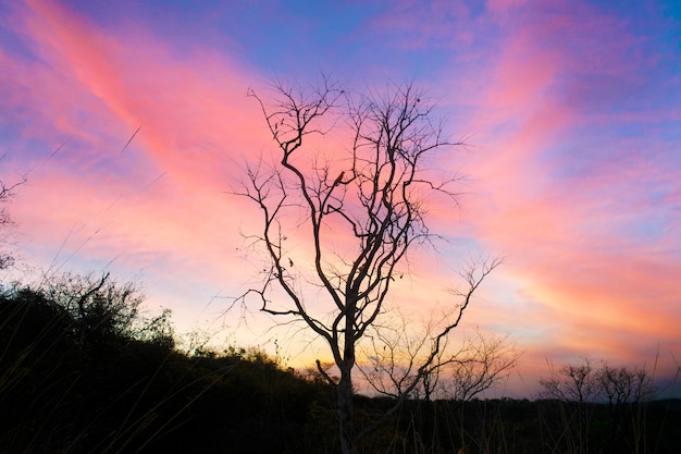 Foto atardecer en floriano piaui, noreste de brasil