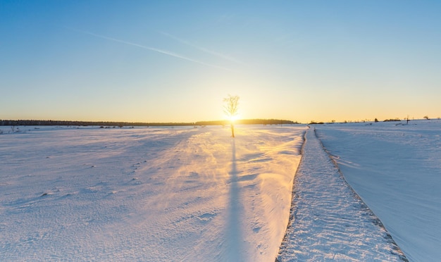 Un atardecer de invierno en Hautes Fagnes en Bélgica. Tomada afuera con una 5D mark III.