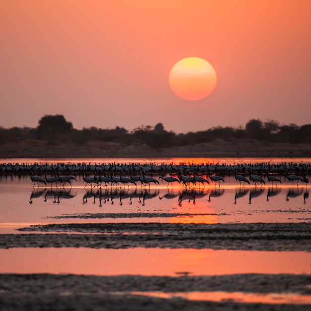 Foto atardecer en el lago