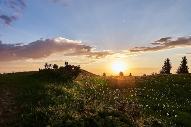 Atardecer en la meseta de Kok Zhailau montañas TianShan Almaty Kazajstán