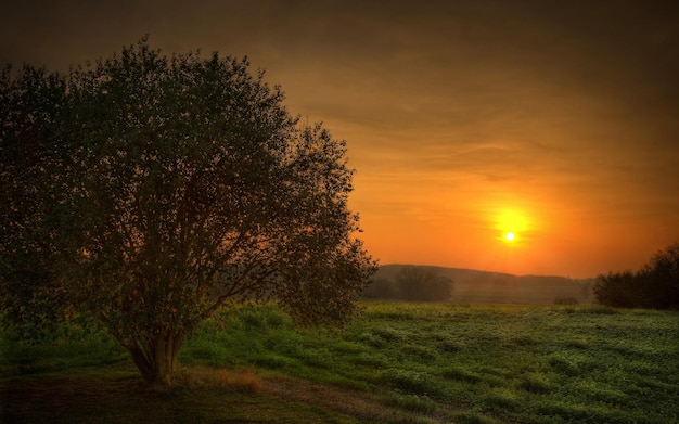 Foto el atardecer místico