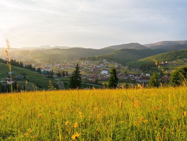 Atardecer en las montañas de los Cárpatos Tarde en Bukovel Ucrania Hermoso paisaje natural La luz del atardecer ilumina el valle Descubre la belleza de la tierra