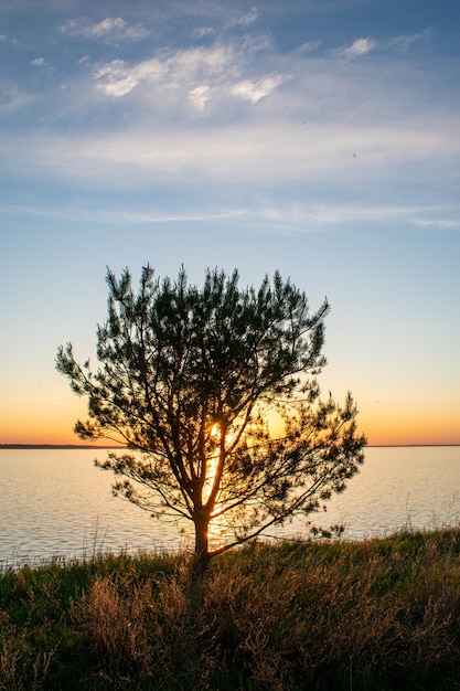 Atardecer en la orilla del río