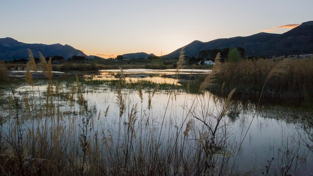 Atardecer en el pantano de