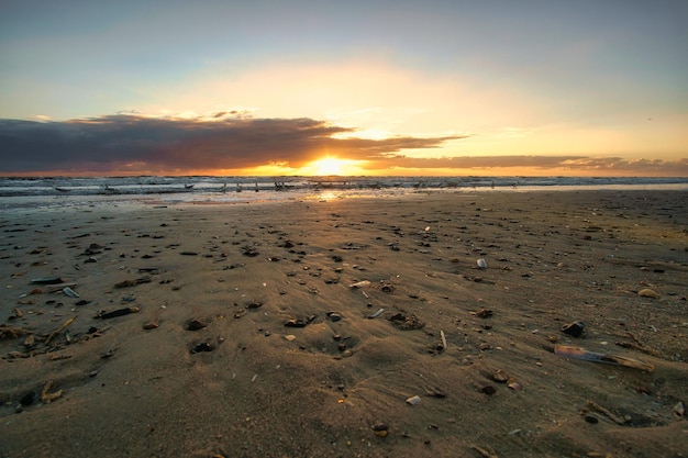 Atardecer en la playa de Dinamarca Conchas en primer plano Paseo por la costa