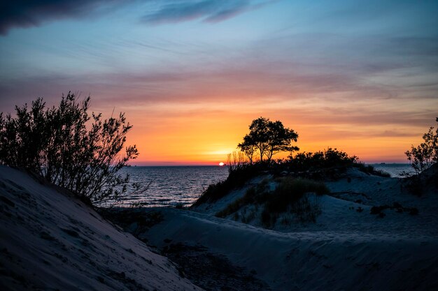 Atardecer en la playa del mar Báltico sobre dunas árboles y arena