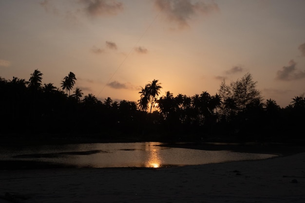 Atardecer en la playa con la puesta de sol detrás de los árboles