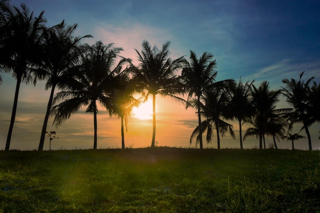 Atardecer en playa tropical con palmeras