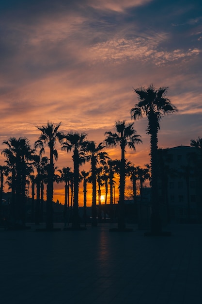 Atardecer en el puerto de barcelona