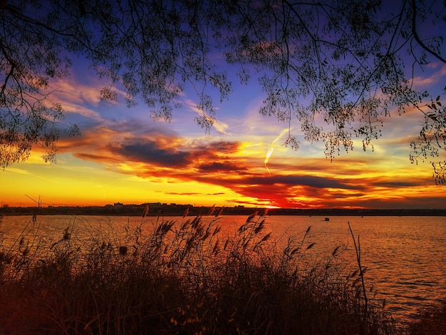 Atardecer en las ramas de los árboles del río y el cielo con nubes pintorescas