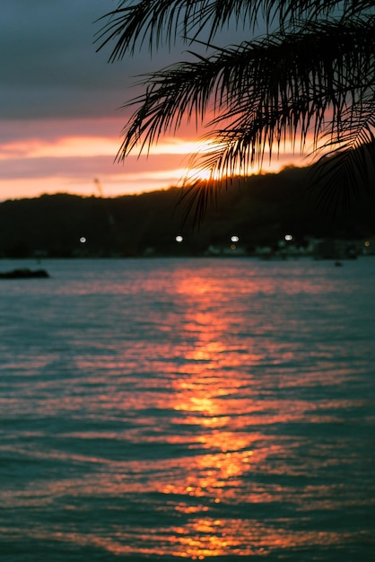 Foto el atardecer se refleja en el mar con las montañas en las palmeras