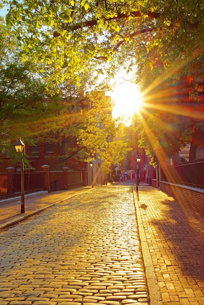 Atardecer romántico visto a través de las hojas de los árboles en las calles de Filadelfia, Pensilvania, Estados Unidos. Con destello solar especial