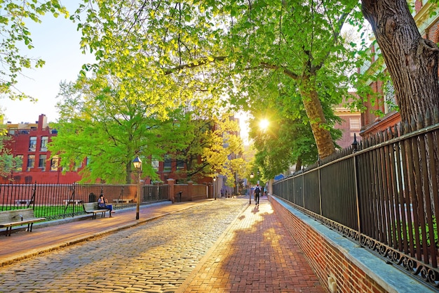 Atardecer romántico visto a través de las hojas de los árboles en las calles de Filadelfia, Pensilvania, Estados Unidos. Turistas en la calle. Con destello solar especial