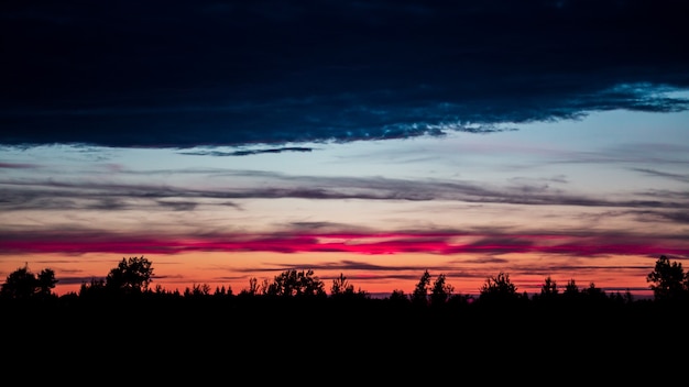 Foto atardecer con la silueta del bosque