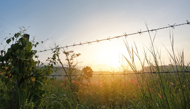 Atardecer sobre campos con alambradas de púas.