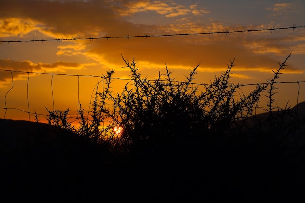 atardecer y sol