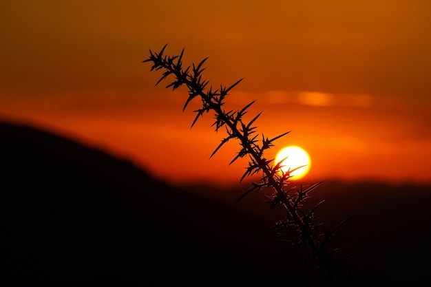 atardecer y sol