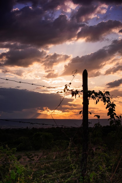 el atardecer