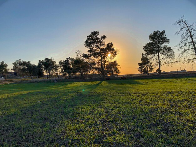 Foto el atardecer