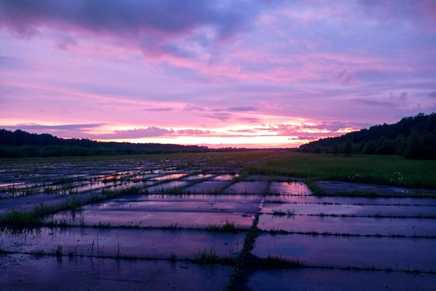 Atardecer